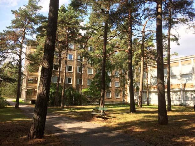 Kartan merintöjen uvauset Kivetty tie Virvitusentien lusa n ivetty naivin, samin sa entiselle Lulavuren vanhaindille jhtavasta ajtiestä. Kiveyset v miljöön annalta täreitä ja säilyttämisen arvisia.
