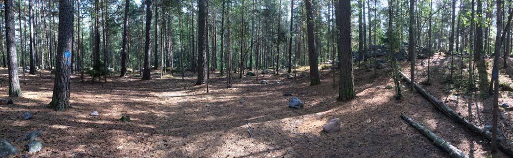Männiö Männiöisi n tässä selvitysessä luiteltu metsät, jissa mäntyjen jussa n vain vähän tai mel vähän
