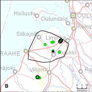 31. Revonlahden reviiri (Oulu) *entinen Ruukin reviiri Yksilömääräarvio: 3 5 17.8. 31.12.