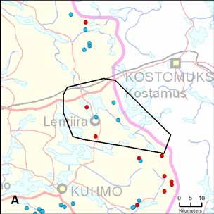 45. Vartiuksen rajareviiri (Kainuu) Yksilömääräarvio: 3 17.10. 31.12.