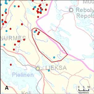 49. Kivivaaran rajareviiri (PohjoisKarjala) Yksilömääräarvio: 4 15.8. 31.12.
