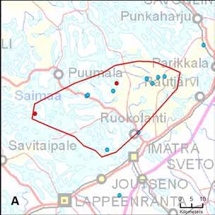 58. Puumala Ruokolahden reviiri (EteläSavo KaakkoisSuomi) Yksilömääräarvio: 2 3 14.8. 31.12. 9 kpl 1 kpl, 4 yks. 1.1.2019 10.2.2019 1 kpl 1 kpl, 3 yks.