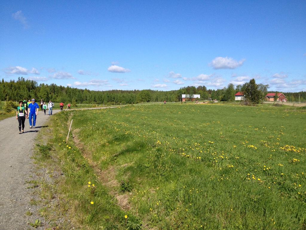 Suunnistuskoulun tiedottaminen Pääasiassa sähköpostitse Osoitteet jäsenrekisteristä, toimintatason asettaminen