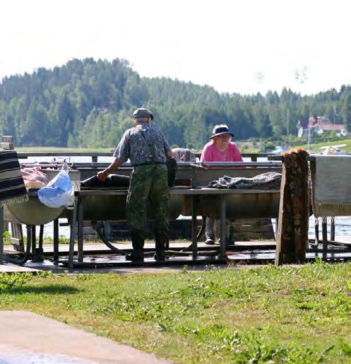 24 Matonpesupaikat Tällä hetkellä kahdeksan matonpesupaikkaa: Huhtasuo Keljonkangas Lehtisaari