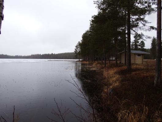 Valkeajärven rantaa kuvattuna kohti pohjoista.