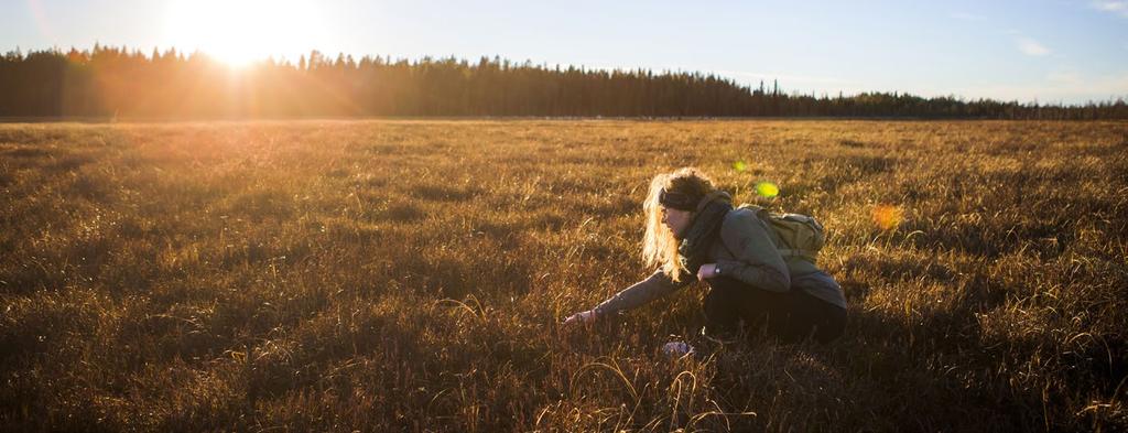 Vastuullisuus Yritysvastuun johtaminen Haluamme varmistaa, että Fazerin vastuullisuustyötä johdetaan tehokkaasti.