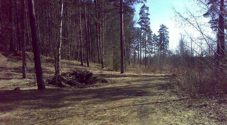 Kaavamuutosalue sijoittuu kuvassa olevan Mäenpääntien oikealle puolelle.