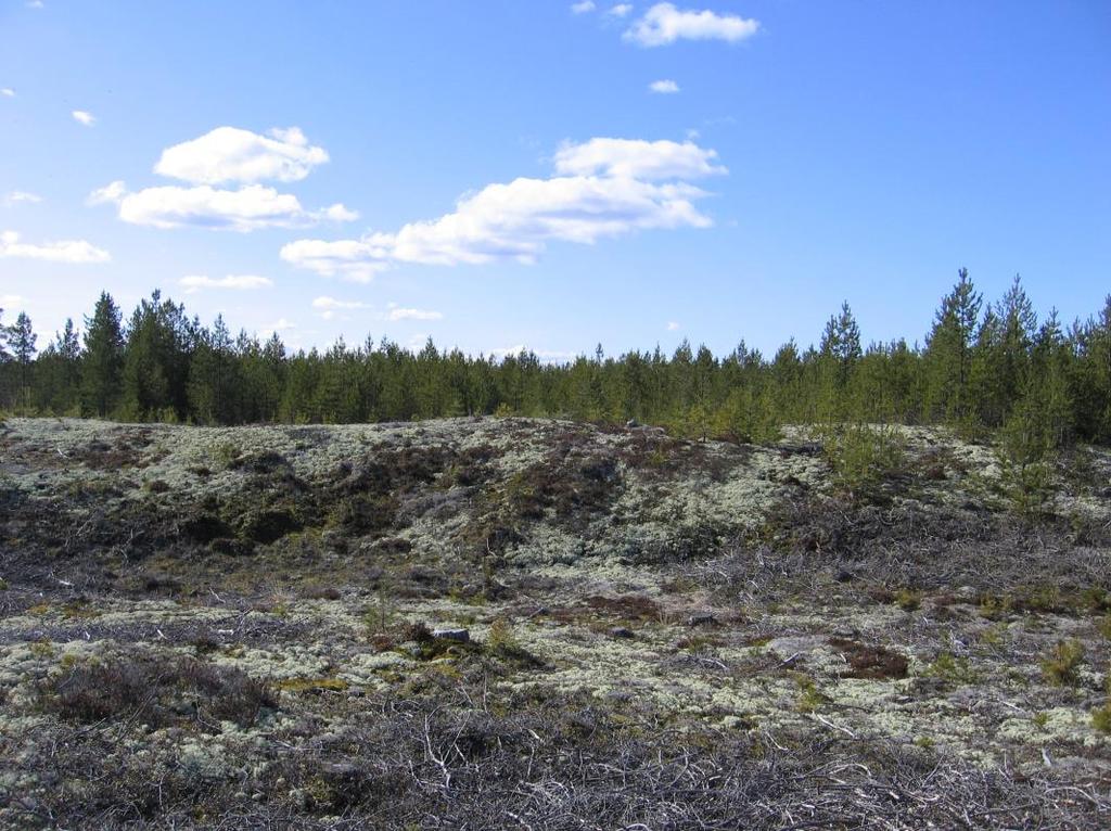 PÄIVITYS 2019 28 7 MARISTONPAKAT 7.1 Sijainti ja yleistiedot Maristopakat on 215 ha suuruinen Natura-alue (FI1000058), joka on suojeltu luontodirektiivin mukaisena alueena (SAC).