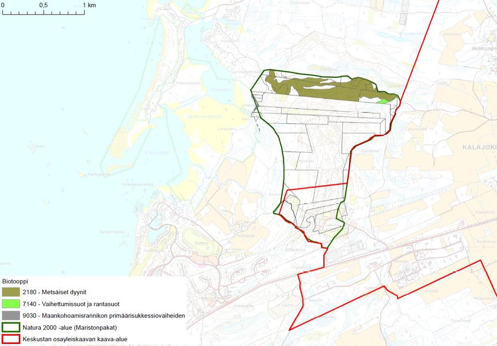 PÄIVITYS 2019 29 Taulukko 7-1. Direktiiviluontotyypit Natura- tietolomakkeen mukaisena. Priorisoidut eli ensisijaisesti suojeltavat luontotyypit on merkitty tähdellä.