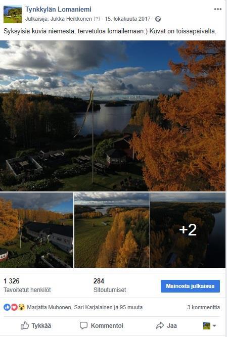 Esimerkkejä Tynkkylän lomaniemen