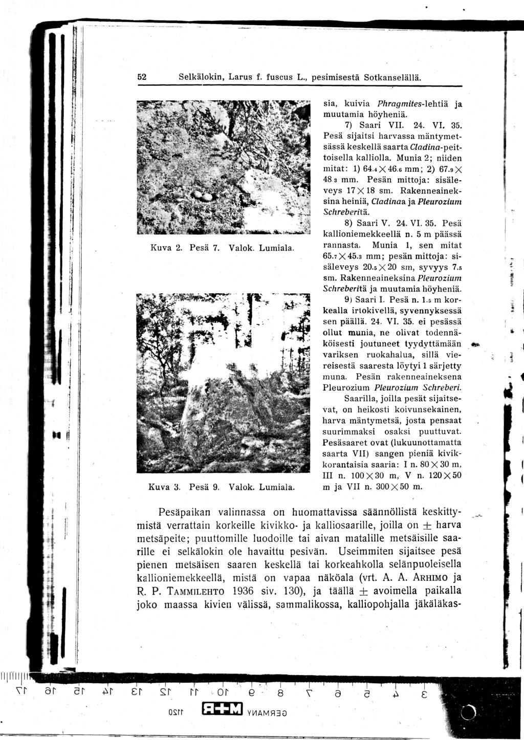 52 Selkälokin, Larus f. fuseus L., pesimisestä Sotkanselällä. sia, kuivia Phragmites-lehtiä ja muutamia höyheniä. 7) Saari VII. 24. VI. 35.