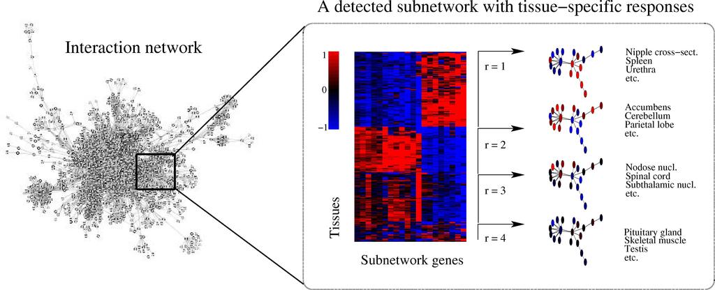 5.2. GLOBAL MODELING OF TRANSCRIPTIONAL ACTIVITY IN INTERACTION NETWORKS Figure 5.