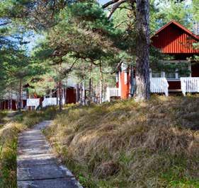 Vironruotsalaiset eli rantaruotsalaiset jäivät eristettyjen asuinalueidensa, erilaisten etuoikeuksiensa