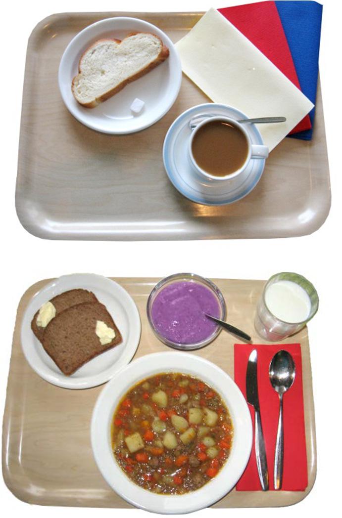 71 ANNOSKOOT KUVINA (M =1800 kcal) LIITE 10 B Esimerkki päivän ruoka-annoksista, kuvat ovat