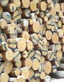 Rib rollers, steel KESLA HydCON Length measuring KESLA HydCON+ Length measuring Length encoders in feed motors Colour marking Stump treatment system Control