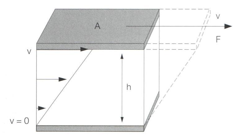 3 γ = v h (3),jossa v on virtausnopeus yksikössä m/s ja h on leikkausraon korkeus yksikössä m. (Mezger 2015: 22 23.