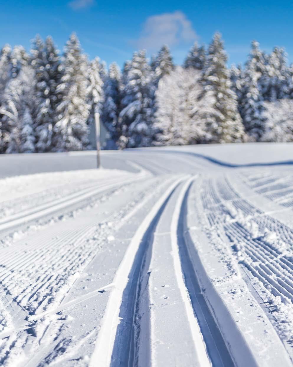 Haukiluoma kehittyy parhaillaan kovaa vauhtia ja tulevaisuudessa sieltä löytyvät kaikki modernissa arjessa tarvittavat palvelut.