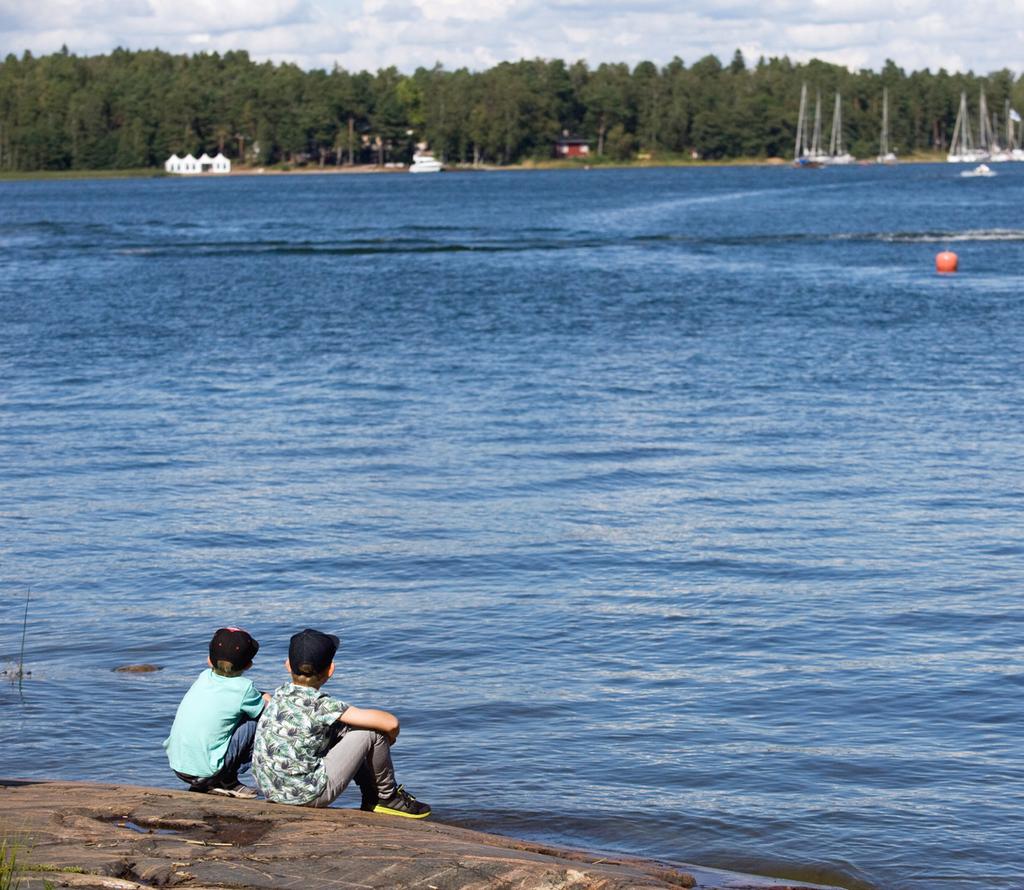 5) Ovatko oikeat levät haitallisia tai vaarallisia? Kaikki hituset ja vihreä vedessä ei ole sinilevää.