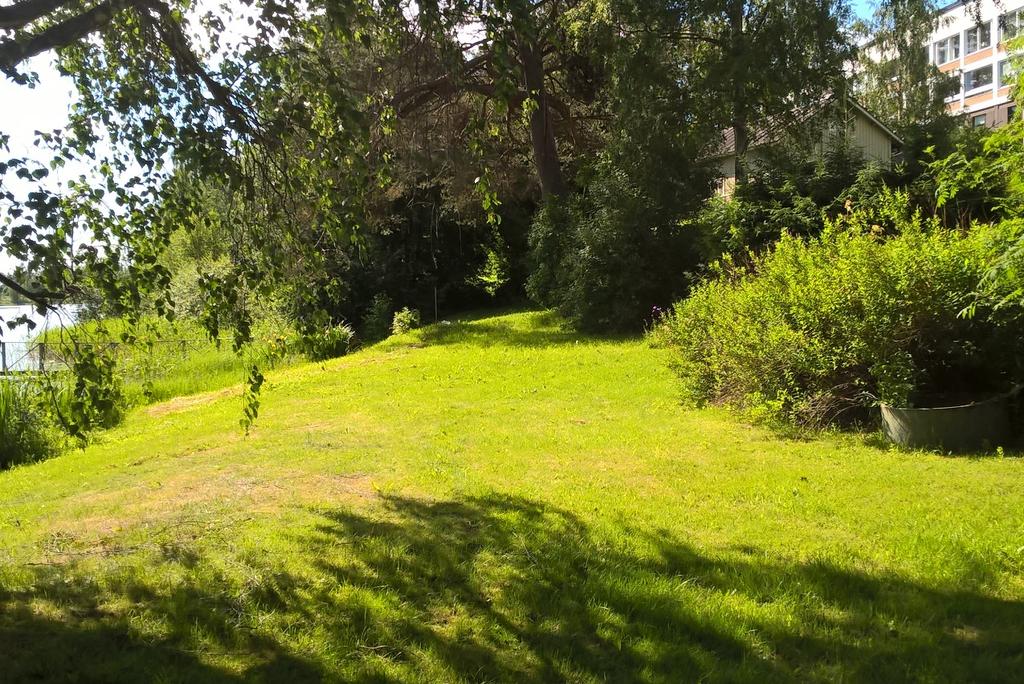 Hoidettua jokirantaa. Venevajoja vastarannalta kuvattuna. 2.1.