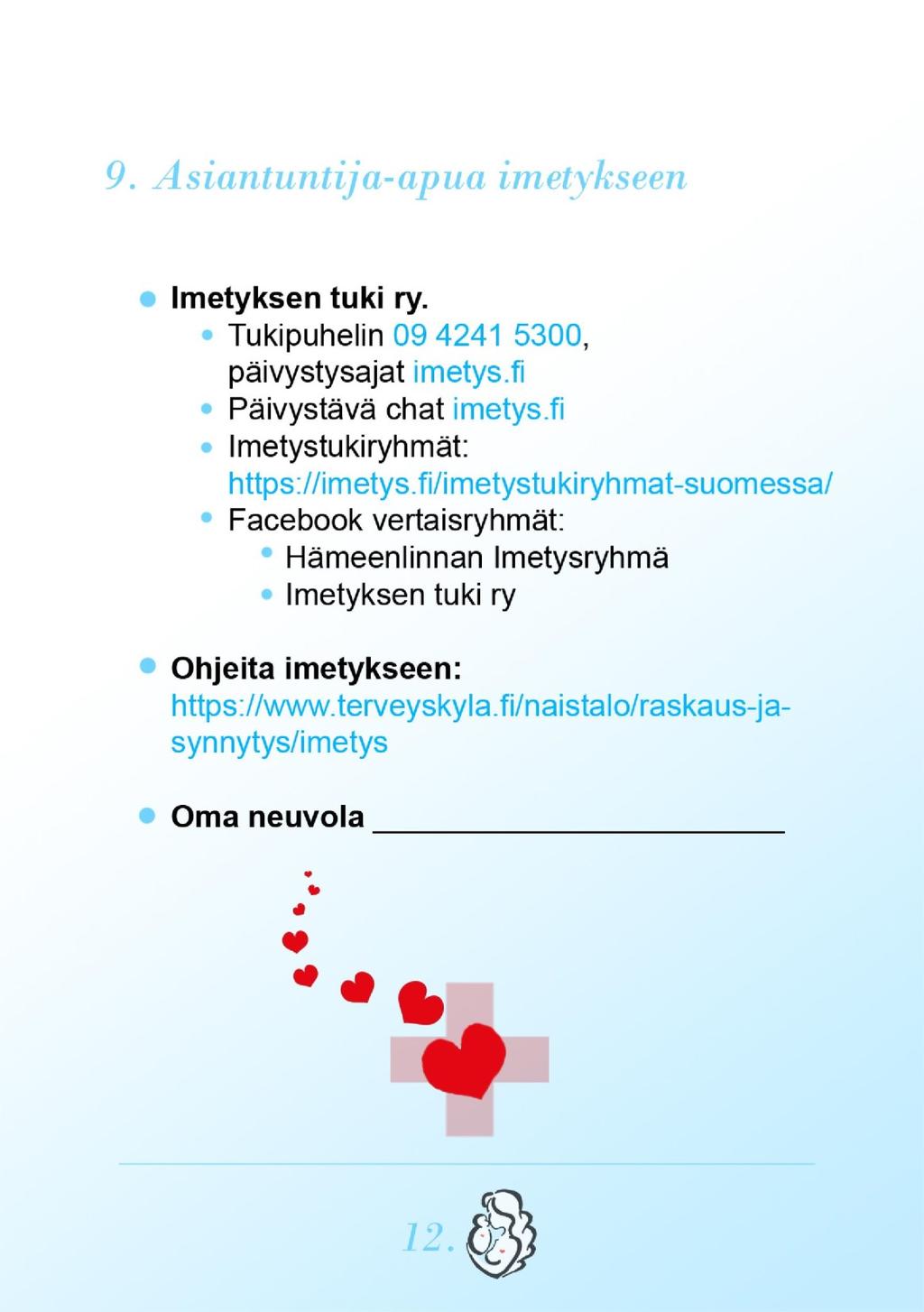 46 Liite