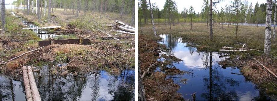 Pintavalutuskenttä Pintavalutuskenttä on metsätalouden tehokkain vesiensuojelurakenne.