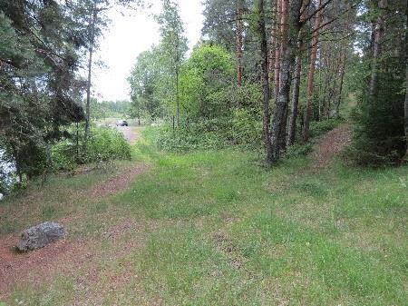 Suunnittelualueeseen kuuluva Nummisenmäen osa on luonnontilaista kuusipuuvaltaista metsäaluetta.