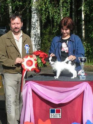 Phalène Pennut Urokset 2 BIS1-pentu, ROP-pentu, kp Chaplin Line s Lucky Luk Holma Nartut 1 VSP-pentu, kp Thunderstar Beauty Sunshine om.