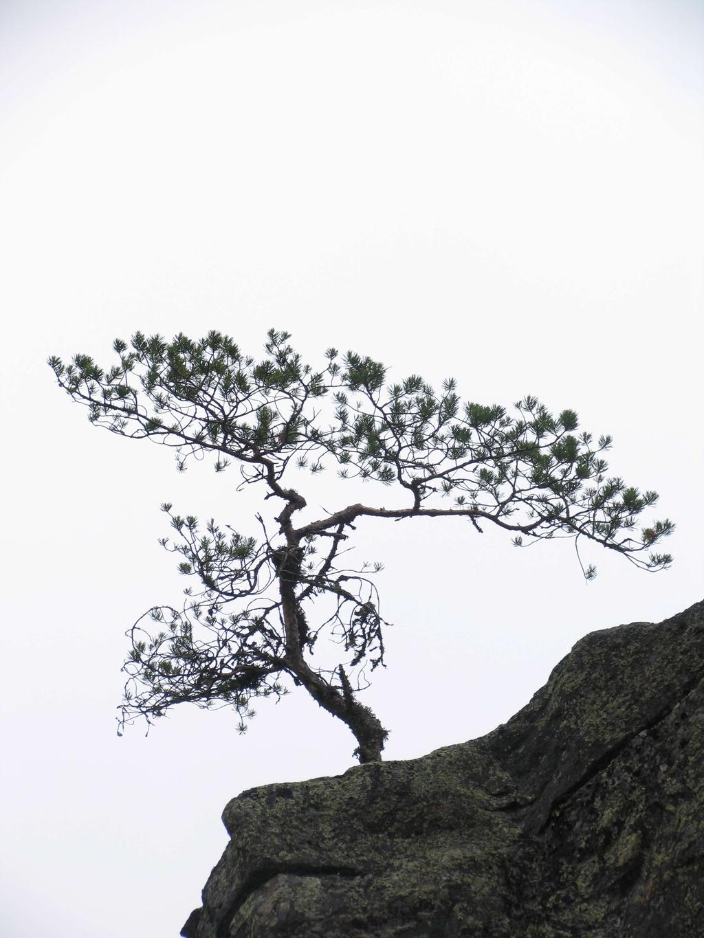 Jäsentiedote 2 / 2014 Vaasan