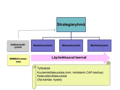 CAP-suunnitelman
