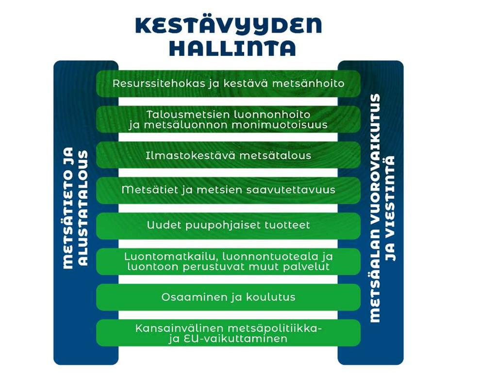 Metsästrategiaa toteutetaan strategisilla hankkeilla Talousmetsien luonnonhoito ja metsäluonnon monimuotoisuus strateginen hanke - Talousmetsien luonnonhoito nykyistä vaikuttavammaksi ja