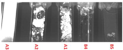 FIG. 2.8. Example results of spectral image for samples collected in a Finnish pulp mill.