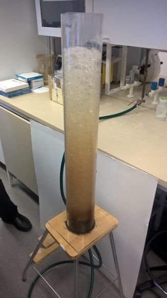 KUVA 3.12. Vaahdon muodostus eri tilanteissa. a. Havusuodos. b. Koivusuodos johon lisätty 3000 ppm mäntyöljyä, ennen lisäystä koivusuodos vaahtosi hieman. c.