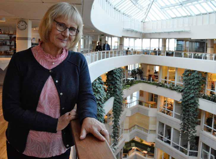 Ruotsin kuntaliiton varapuheenjohtaja Lena Micko.