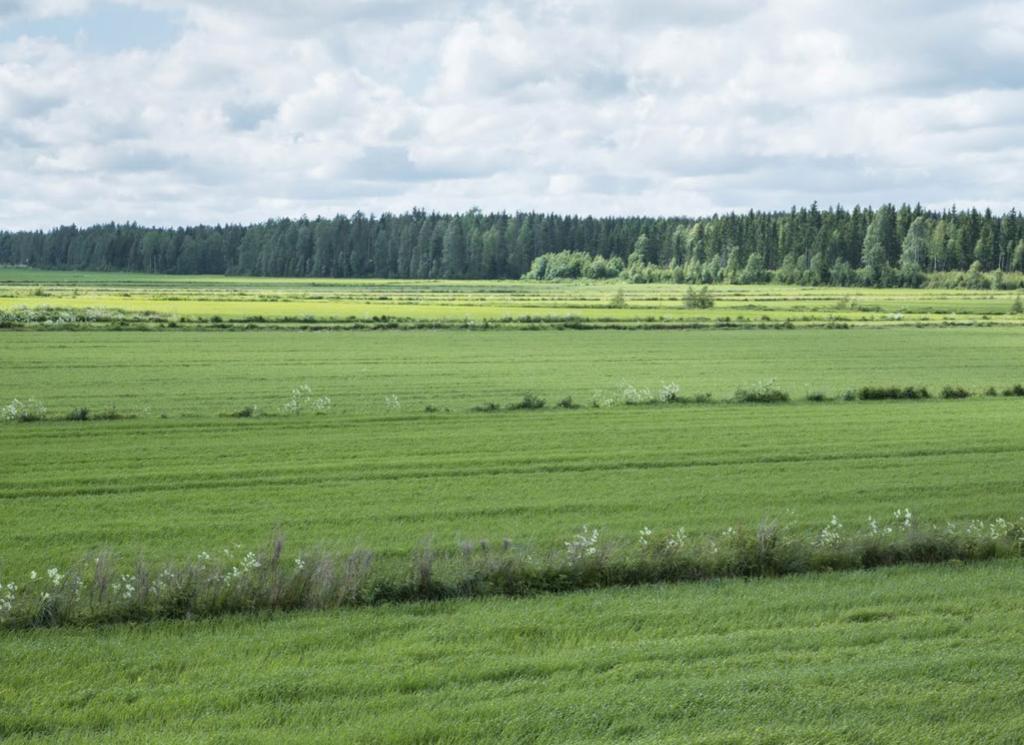 LOPUKSI Tilusjärjestelyt ovat lähes ainoa keino, jolla tällä hetkellä voidaan pysyvästi vaikuttaa tilusrakenteeseen.