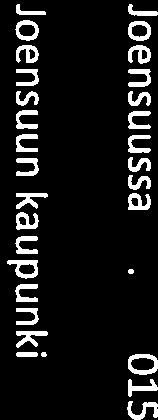 Hankkeista raportoidaan Joensuun kaupungin hallitukselle toiminnan erivaiheissa.