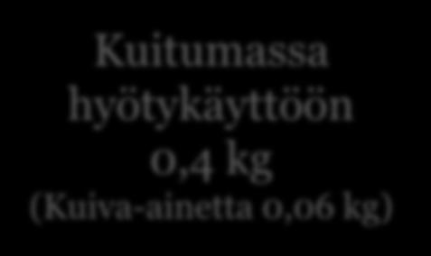 24.3.2019 Porkkananviljely 47,3 kg 2-luokan porkkana