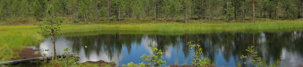 Lämmityksen ja säh- 7 6 5 4 3 2 1 könkulutuksen päästöt on laskettu Riihimäen kulutuksen perusteella riippumatta siitä, missä lämpö tai sähkö on tuotettu.