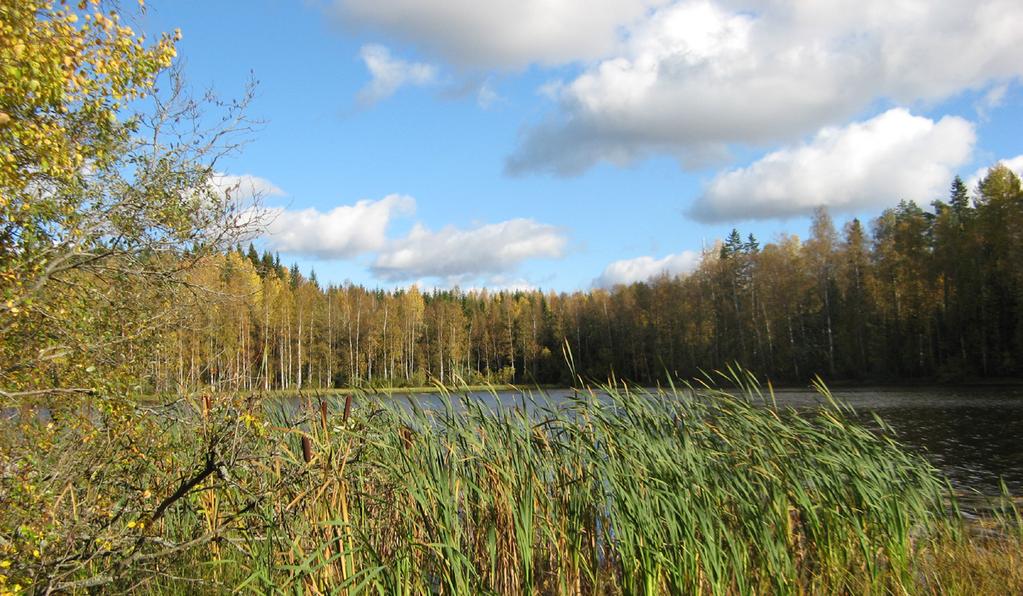 26 Kehitystä kuvaavat mittarit ha 25 225 2 175 15 125 1 Suojellut luontotyypit ja luonnonsuojelualueet 1,41 1,46 1,46 17 177 177 1,95 1,97 236 238 214 215 216 217 218 Yhteensä Osuus % maa-alasta