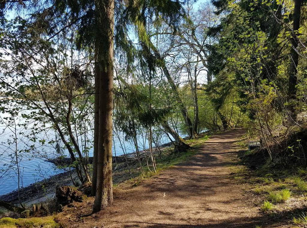 Kaupunkiympäristön toimiala / Maankäyttö ja kaupunkirakenne yhteyshenkilöt Asemakaavoitus arkkitehti Maria Isotupa tiimipäällikkö Anu Kuutti Liikenne- ja katusuunnittelu liikenneinsinööri Markus