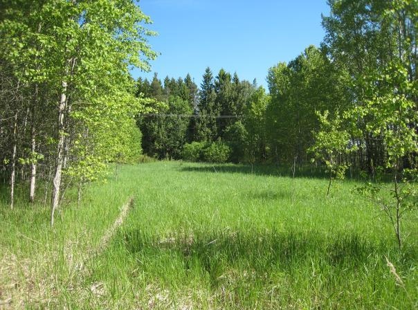 Tuusulan Alhosta on havainto luontodirektiivin liitteessä IV (a) mainitusta ja silmälläpidettävästä liitooravasta (Pteromys volans) vuodelta 2007 ja Tuusulan Jokelasta kaksi havaintoa