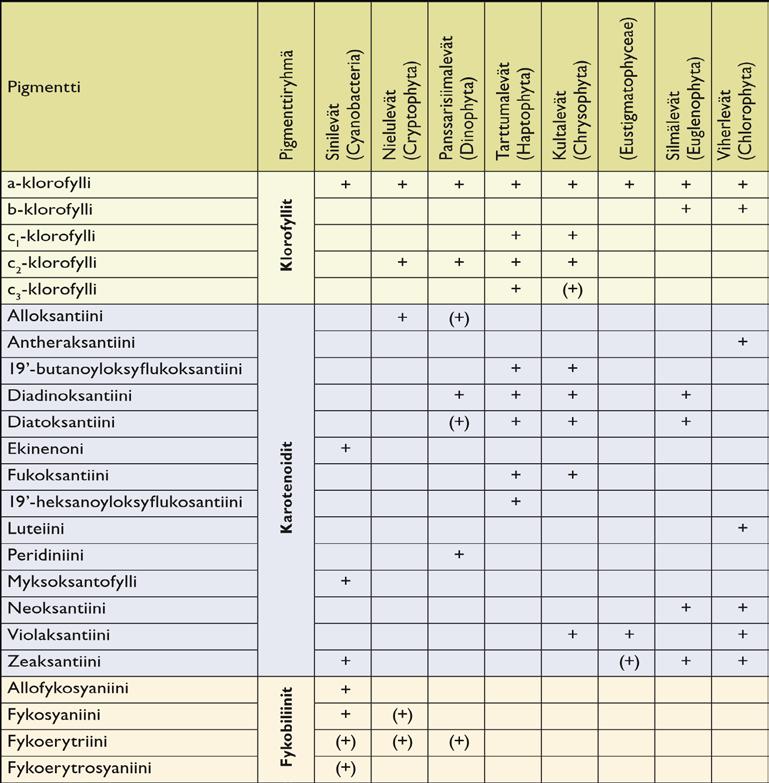 piilevä (c-klorofylli ja fukoksantiinikarotenoidi), viherlevä (bklorofylli) ja sinilevä (fykosyaniini). (Seppälä 2014, 12.