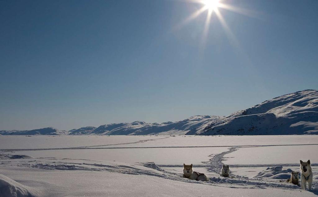 UKA 2014 142 Aalisarnermut aningaasaliissutinut immikkoortitat pillugit inatsisip allanngortinneqarnissaanik siunnersuut Siunnersuut periarfissaqartitsissaaq aalisariutaatillip angallatini