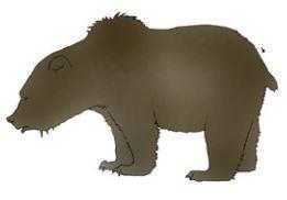 7. KARHU AASIASTA A) Ruskeakarhu vai isopanda? Yhdistä viivalla oikeaan karhuun.