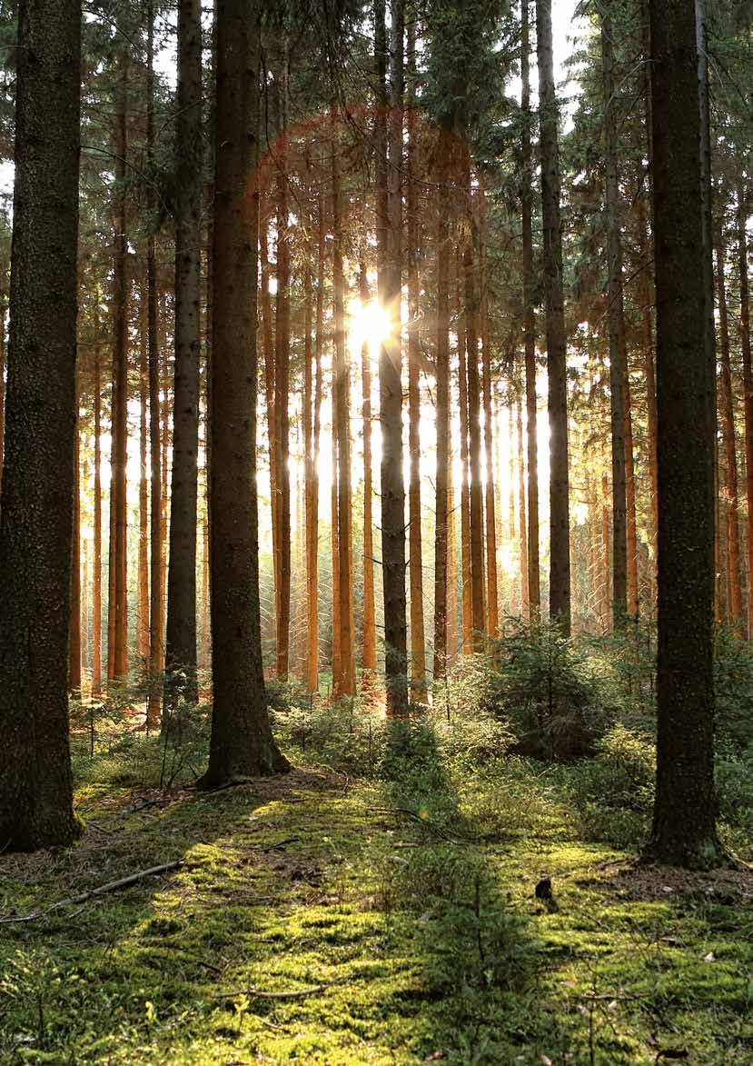 Tontit, rakennukset, käyttö- ja vaihto-omaisuus,