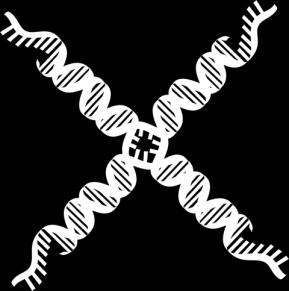 Temperature ( C) DNA AS A MOLECULAR MODEL