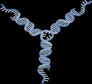 valence 3-valence 4-valence DNA