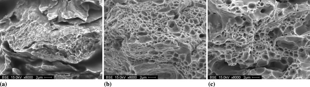 15 SEM micrographs at the fracture surface of coatings produced with He as process gas: (a) as-sprayed; (b) heat treated 1000 C; (c) heat treated 1100 C appeared to be strained and some dimples were