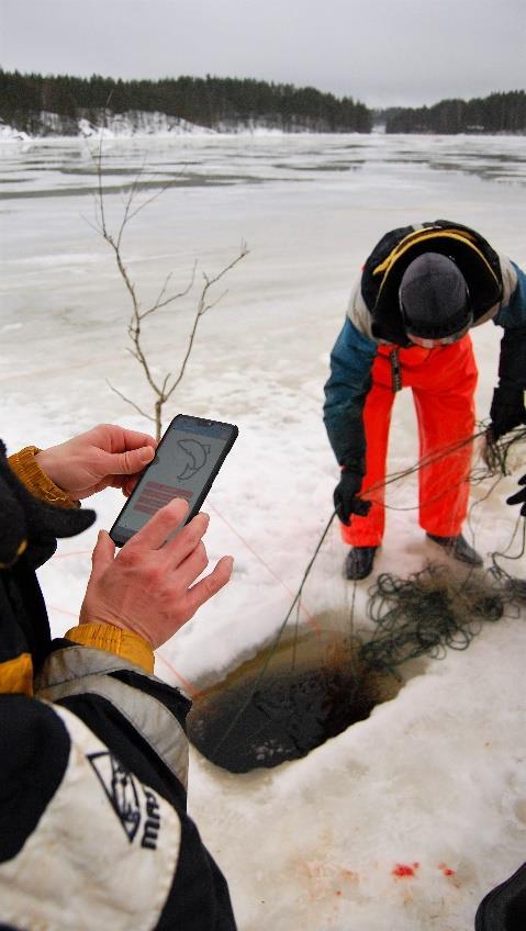 Kalastajien kokemuksia - Sovelluksen käytön oppiminen ja käyttö helppoa - Ilmoitusten tekeminen vähemmän aikaa vievää -