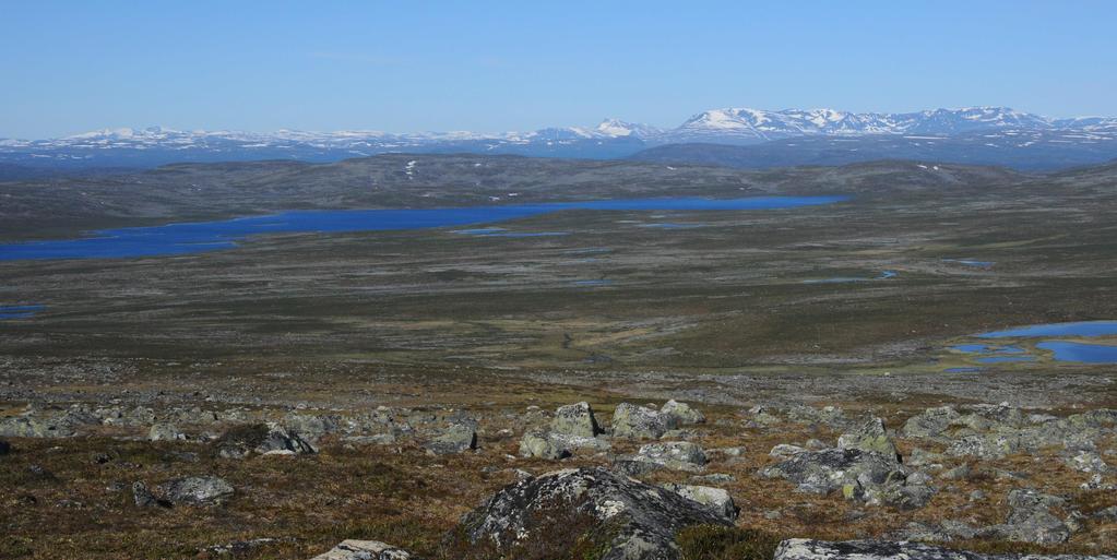 Tunturit Pulmunen VU Lintumäärät vähentyneet n.