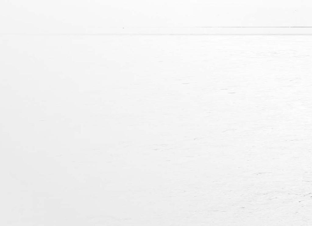ESITTEEN TULOSTUKSESSA TUOTEVÄRIN JÄLJENTÄMINEN